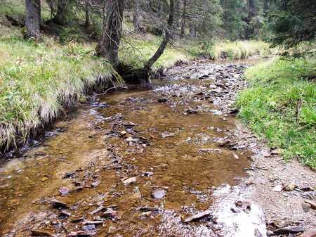 16 Radoljna pod akumulacijo na Rogli (Foto 16, Arhiv ZRSVN OE Celje)