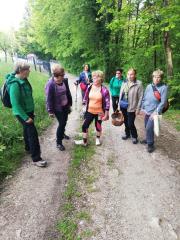 IMG_20190508_172243