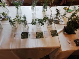 IMG_20190907_162507