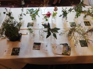 IMG_20190907_162546