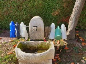 IMG-45bc4f5a4706eeb82433b7e7e26fe790-V