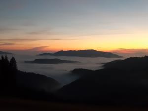 IMG-723203d40e2140d6a03f2e039bf7340f-V