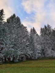 IMG-8ae919ef23012722c519656781c2c26b-V