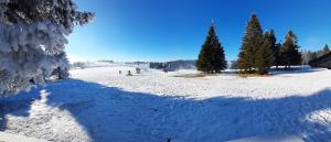 IMG-ace6baba958392c967b0e82279f66bbe-V