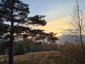 IMG-c689e62301397960c76f3797f6e46e39-V