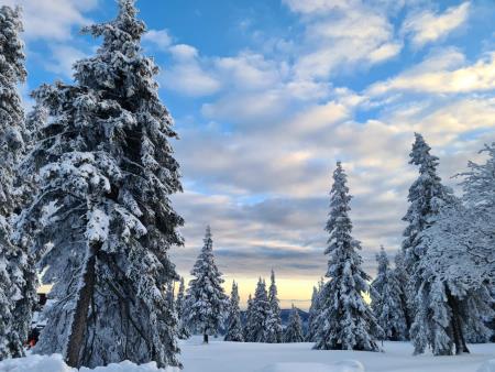 IMG-1a7d3c51efc17137ad6bea379db3ab92-V