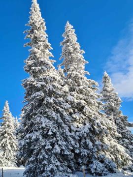 IMG-edd6c4a7fd7aa33bcd11137e81cbb5c6-V