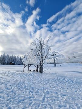 IMG-122441d0113f4e5cb0a58f89516de6be-V