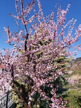 20210331_110904_resized